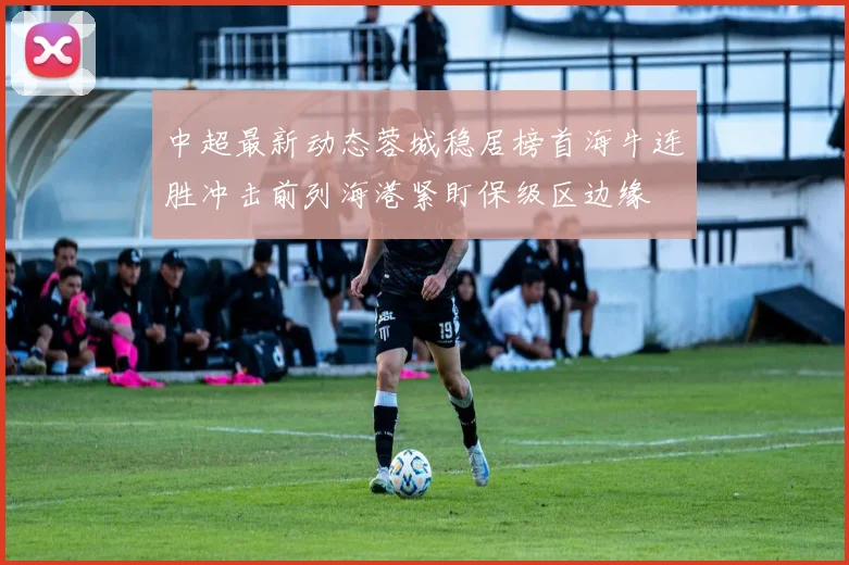 中超最新动态蓉城稳居榜首海牛连胜冲击前列海港紧盯保级区边缘
